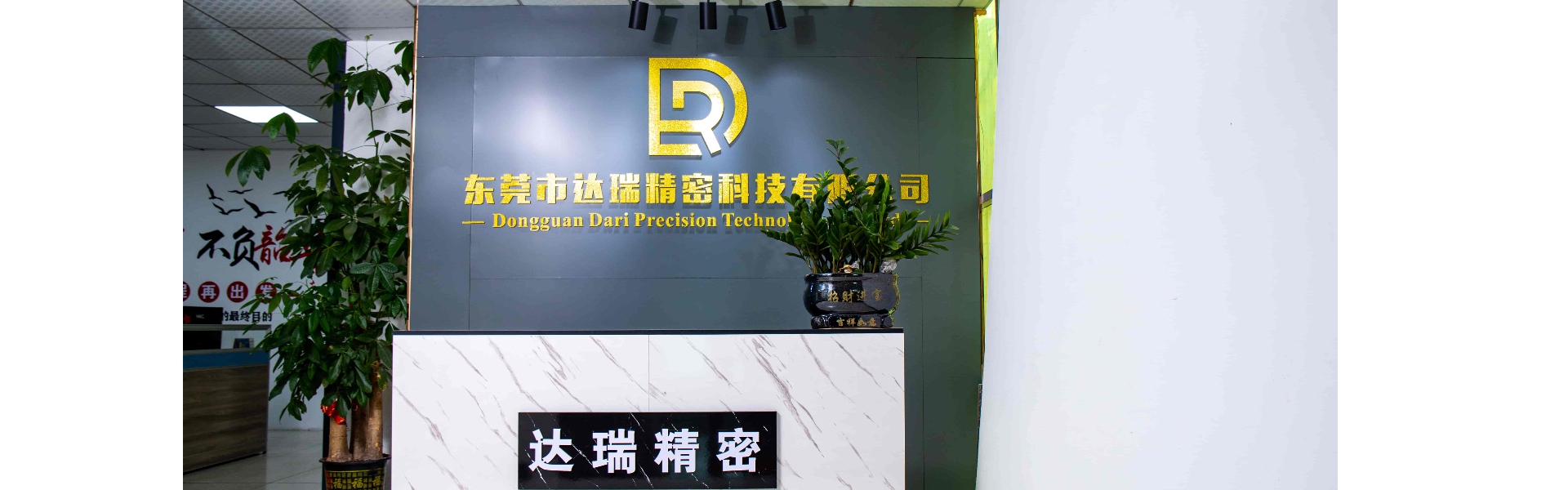 プラスチック型、射出成形、プラスチック製の貝殻,Dongguan Darui Precision Technology Co., Ltd.